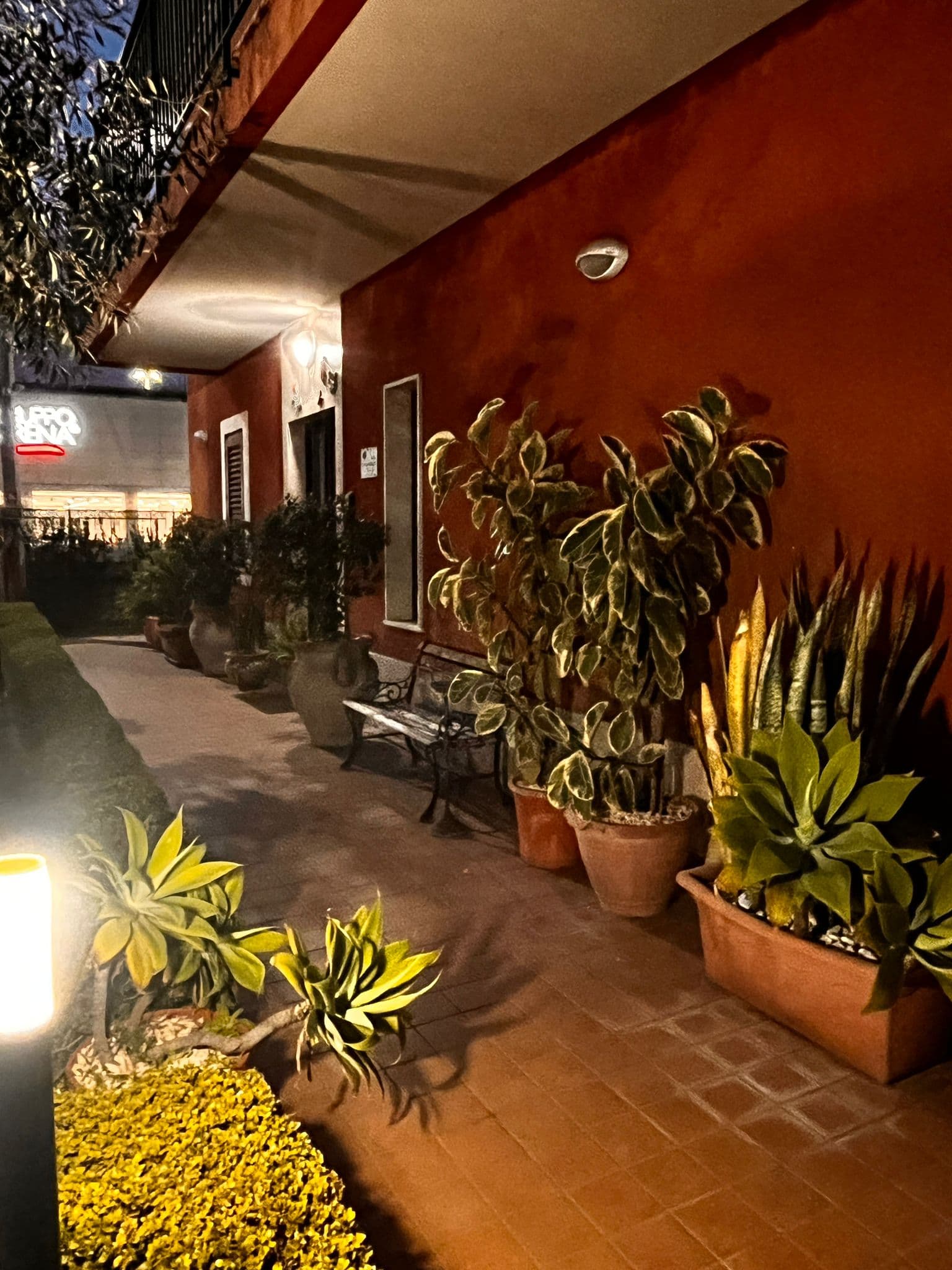 Porticato con piante mediterranee illuminate di sera