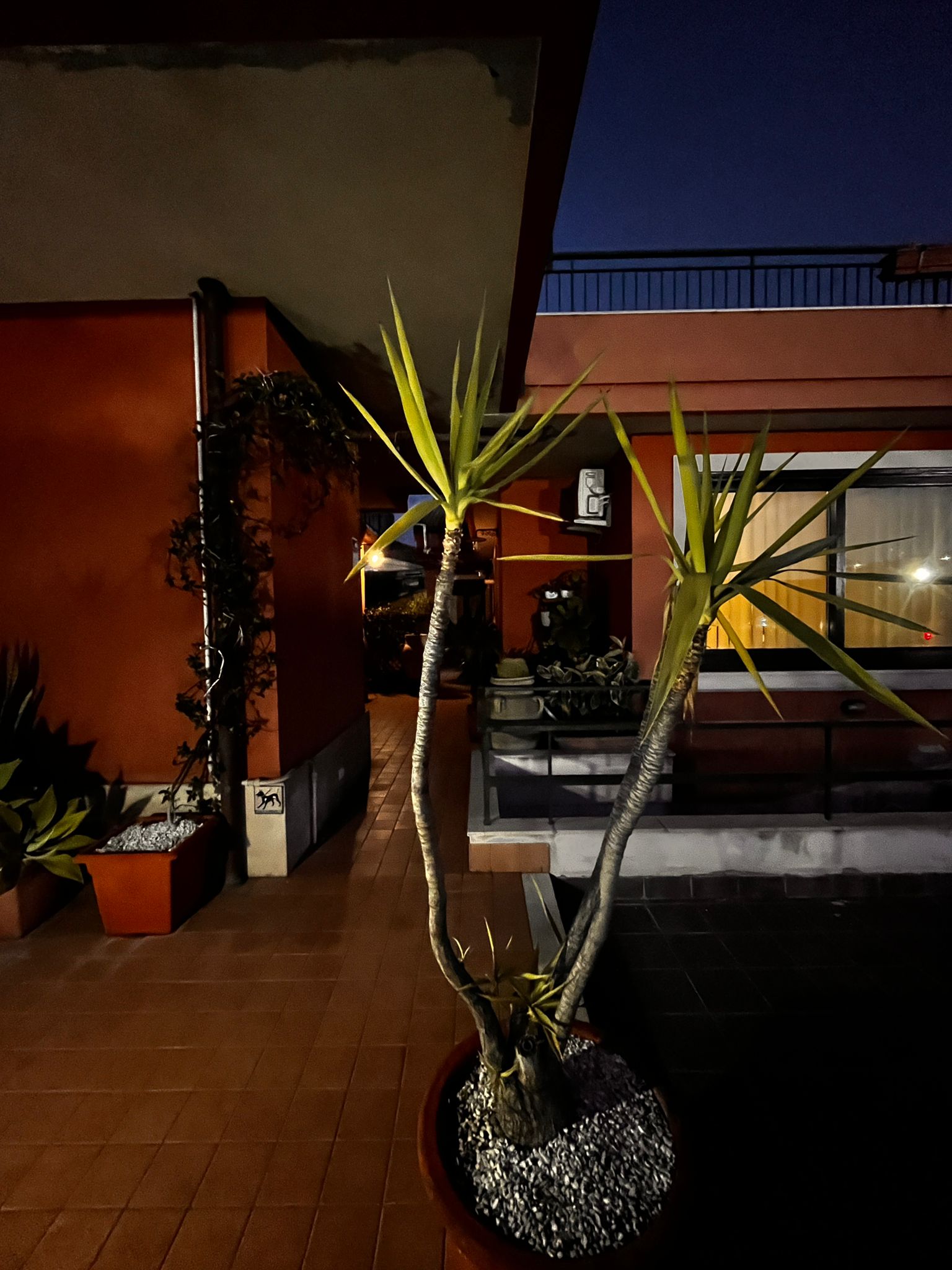 B&B Borgo Ognina – Catania